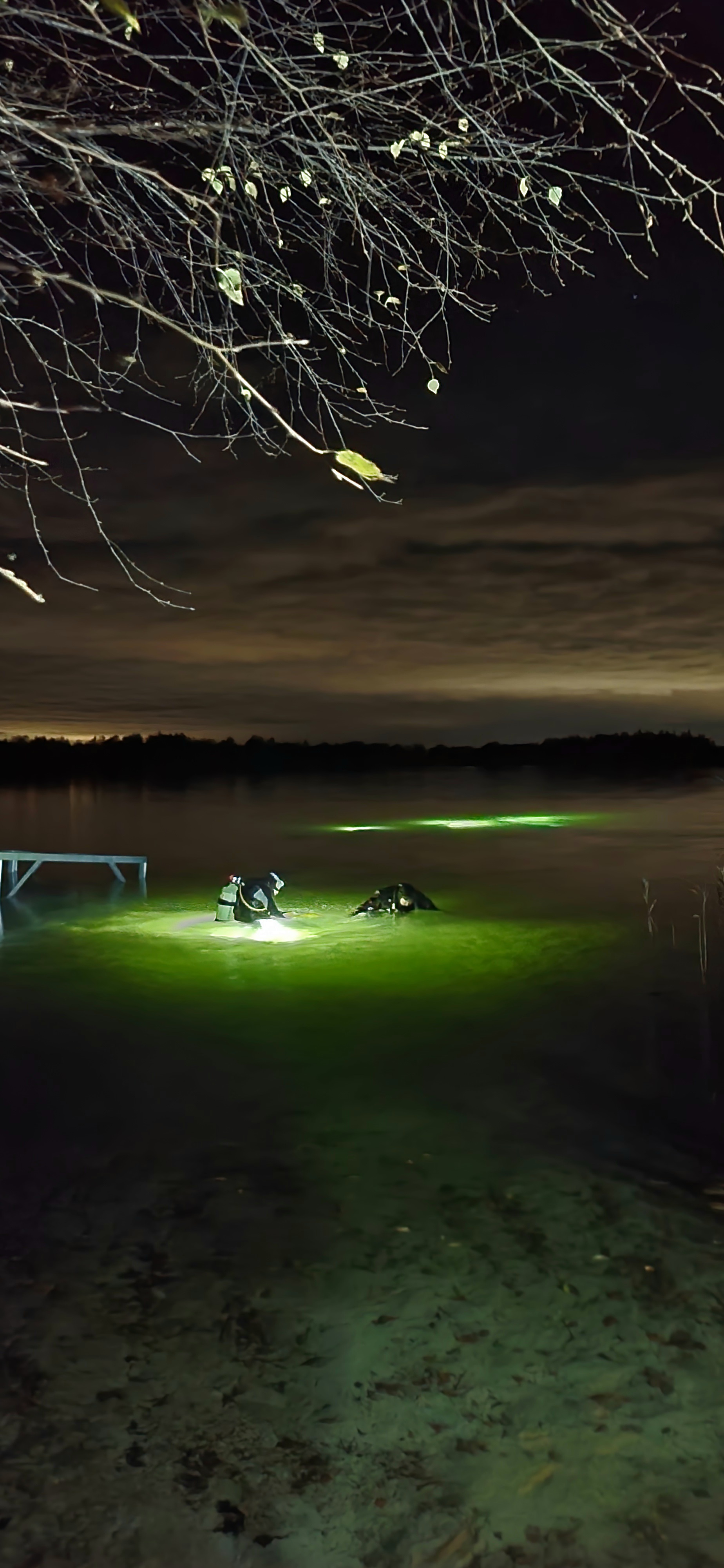 Nachttauchen am Grienbergsee